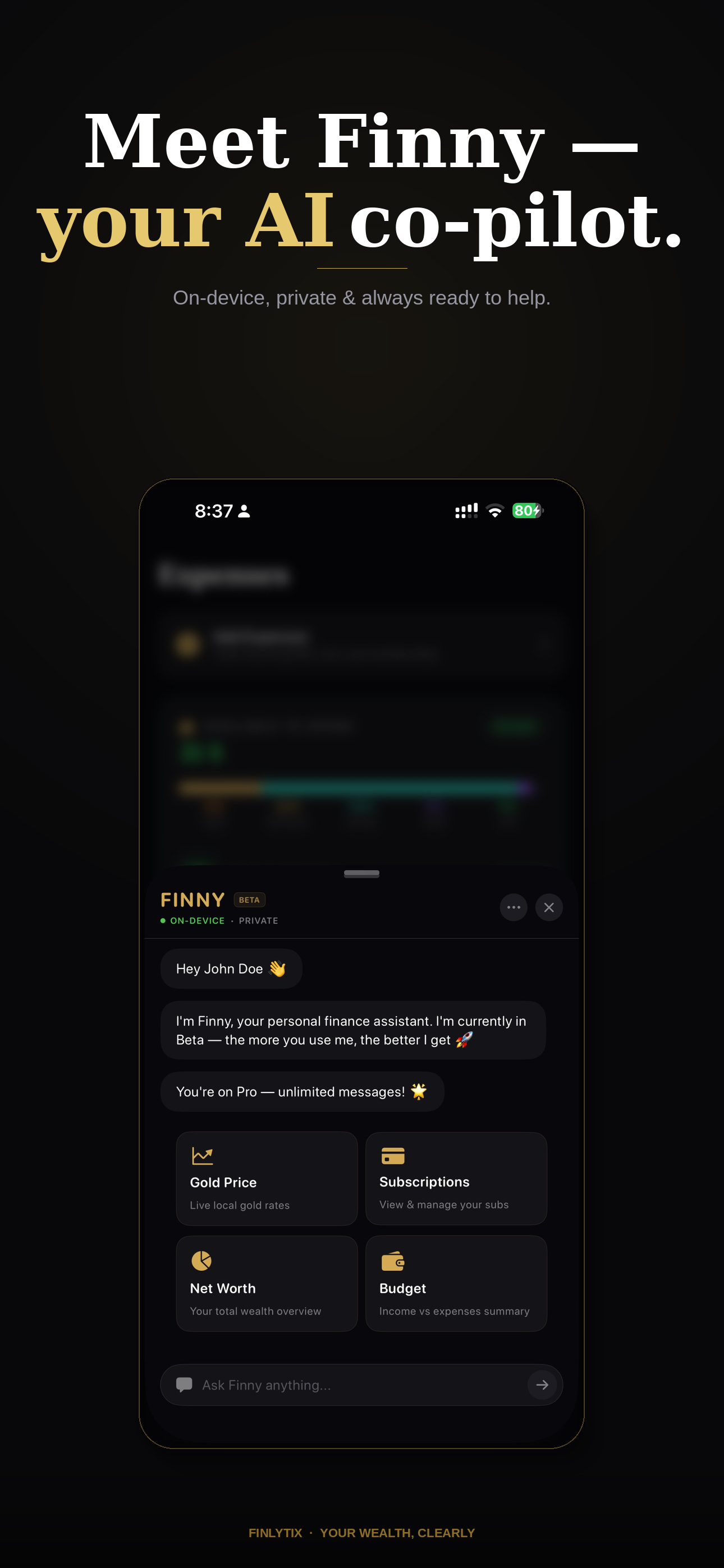 Finny — your private AI co-pilot